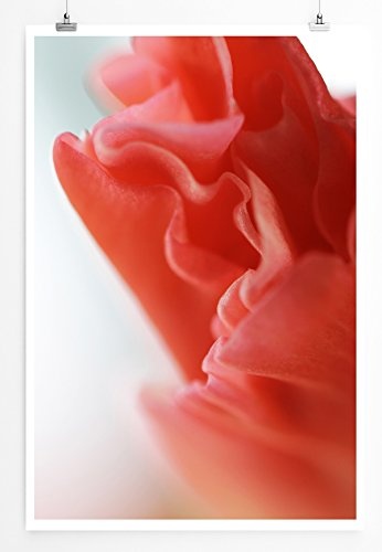 Best for home Artprints - Kunstbild - Rote Gladiole- Fotodruck in gestochen scharfer Qualität
