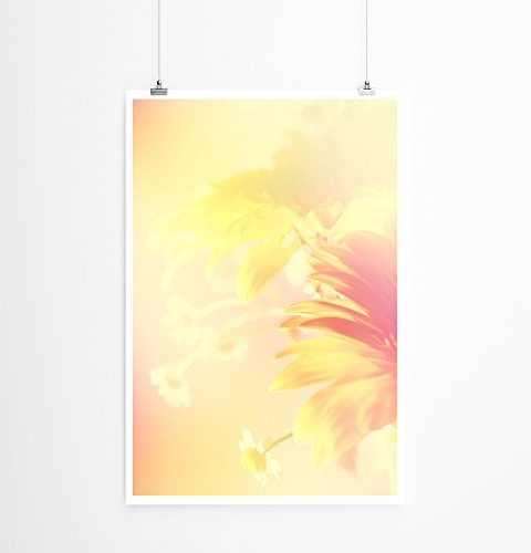 Best for home Artprints - Kunstbild - Frühlingsblumen im Sonnenlicht- Fotodruck in gestochen scharfer Qualität