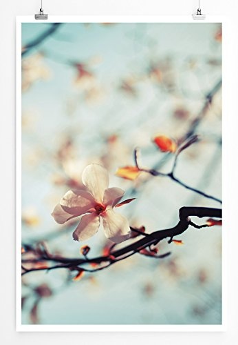 Best for home Artprints - Kunstbild - Kirschblüten vor blauem Himmel- Fotodruck in gestochen scharfer Qualität