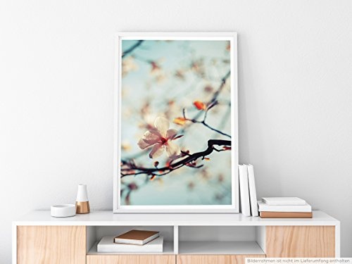 Best for home Artprints - Kunstbild - Kirschblüten vor blauem Himmel- Fotodruck in gestochen scharfer Qualität