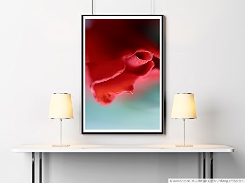 Best for home Artprints - Kunstbild - Rote schmale Blüte- Fotodruck in gestochen scharfer Qualität