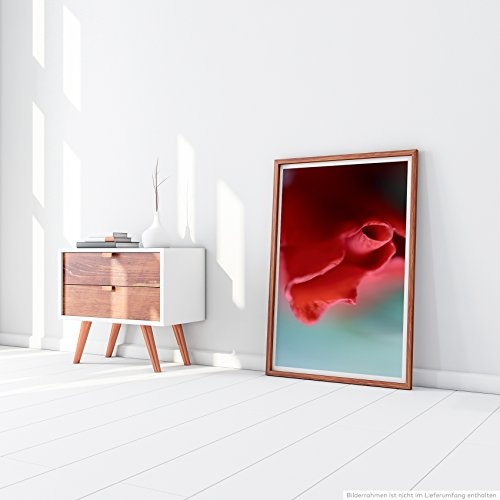 Best for home Artprints - Kunstbild - Rote schmale Blüte- Fotodruck in gestochen scharfer Qualität