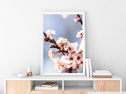 Best for home Artprints - Kunstbild - Zarte Kirschblüten- Fotodruck in gestochen scharfer Qualität