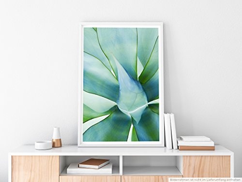 Best for home Artprints - Kunstbild - Grüne Pflanze- Fotodruck in gestochen scharfer Qualität