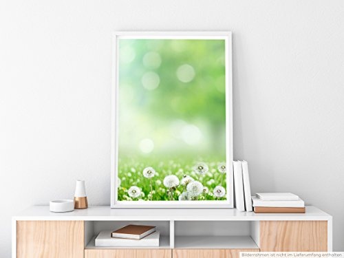 Best for home Artprints - Kunstbild - Pusteblumen auf einer Wiese- Fotodruck in gestochen scharfer Qualität