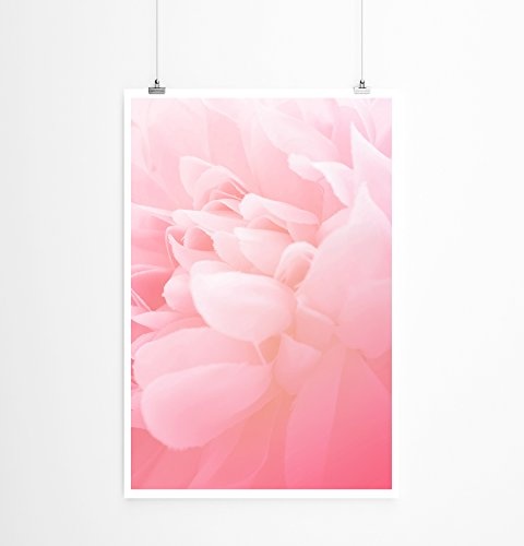 Best for home Artprints - Kunstbild - Zartrosa Blüten - Fotodruck in gestochen scharfer Qualität