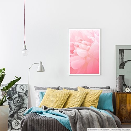 Best for home Artprints - Kunstbild - Zartrosa Blüten - Fotodruck in gestochen scharfer Qualität