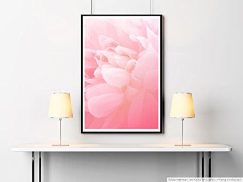 Best for home Artprints - Kunstbild - Zartrosa Blüten - Fotodruck in gestochen scharfer Qualität