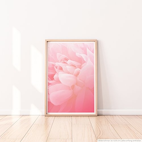 Best for home Artprints - Kunstbild - Zartrosa Blüten - Fotodruck in gestochen scharfer Qualität