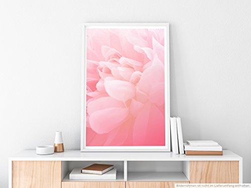 Best for home Artprints - Kunstbild - Zartrosa Blüten - Fotodruck in gestochen scharfer Qualität