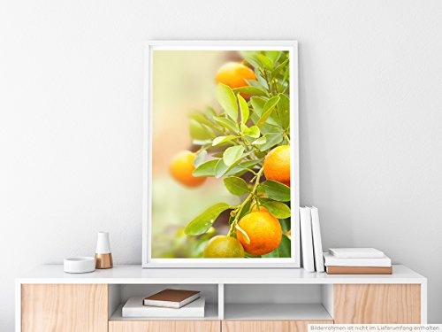 Best for home Artprints - Food-Fotografie - Mandarinen am Baum- Fotodruck in gestochen scharfer Qualität