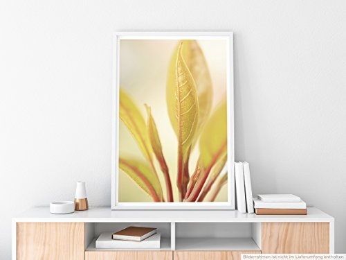 Best for home Artprints - Kunstbild - Zarte Blätter - Fotodruck in gestochen scharfer Qualität