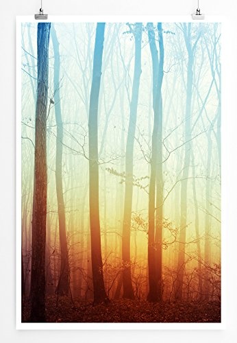 Best for home Artprints - Art - Mystisches Licht im Nebelwald- Fotodruck in gestochen scharfer Qualität