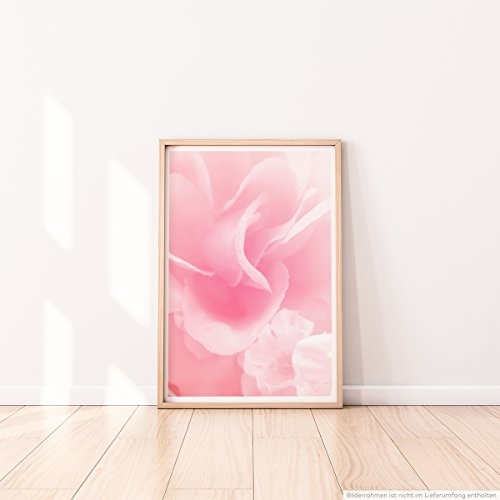 Best for home Artprints - Künstlerische Fotografie - Rosa Blüten- Fotodruck in gestochen scharfer Qualität
