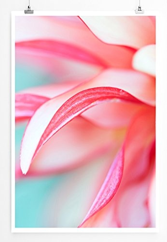 Best for home Artprints - Kunstbild - Beschnittene pink rote Blüte mit grünem Hintergrund- Fotodruck in gestochen scharfer Qualität