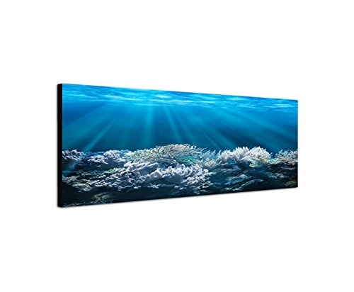 Wandbild auf Leinwand als Panorama in 120x40 cm Tolle Unterwasser Aufnahme von einem Korallenriff. Sonnenstrahlen leuchten durch das klare Wasser und erleuchtet in schönen blauen Farben.