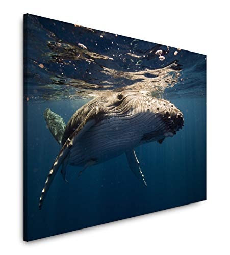 bestforhome 150x100cm Leinwandbild Whale unter Wasser Leinwand auf Holzrahmen
