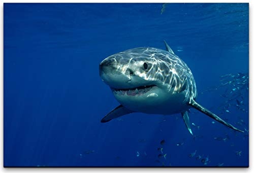 bestforhome 180x120cm Leinwandbild weißer Hai unter Wasser Leinwand auf Holzrahmen