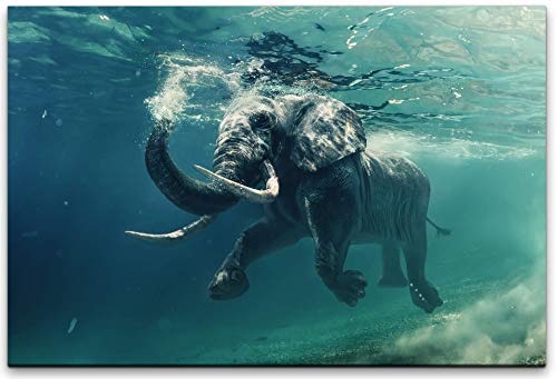 bestforhome 180x120cm Leinwandbild schwimmender Elefant unter Wasser Leinwand auf Holzrahmen