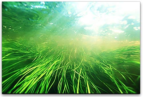 bestforhome 150x100cm Leinwandbild grünes Gras unter Wasser Leinwand auf Holzrahmen