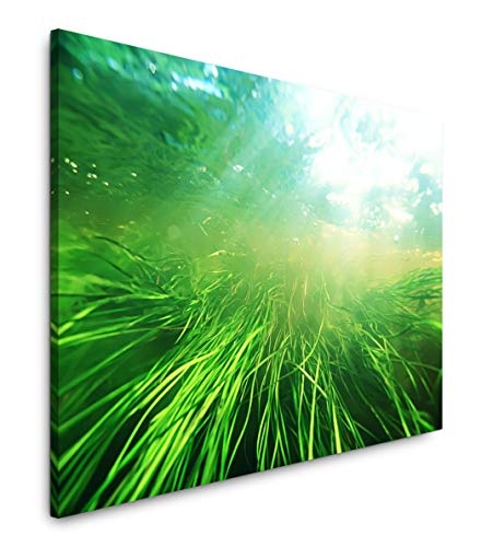 bestforhome 150x100cm Leinwandbild grünes Gras unter Wasser Leinwand auf Holzrahmen