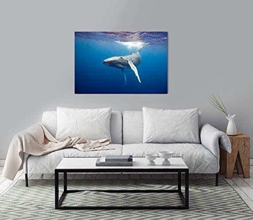 bestforhome 150x100cm Leinwandbild Whale am Schwimmen unter Wasser Leinwand auf Holzrahmen