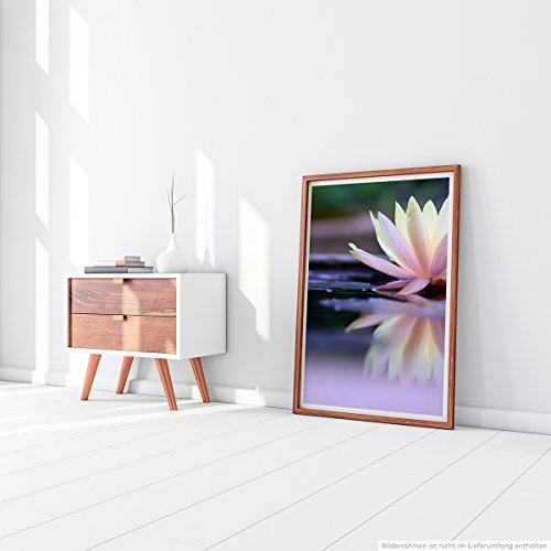 Best for home Artprints - Kunstbild - Lotusblüte im Wasser- Fotodruck in gestochen scharfer Qualität