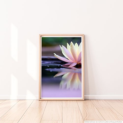 Best for home Artprints - Kunstbild - Lotusblüte im Wasser- Fotodruck in gestochen scharfer Qualität