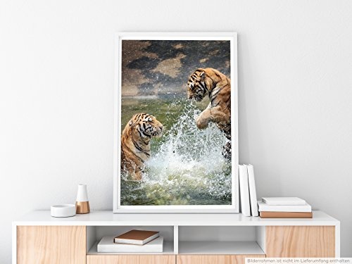 Best for home Artprints - Tierfotografie - Anmutige Tiger im Wasser- Fotodruck in gestochen scharfer Qualität