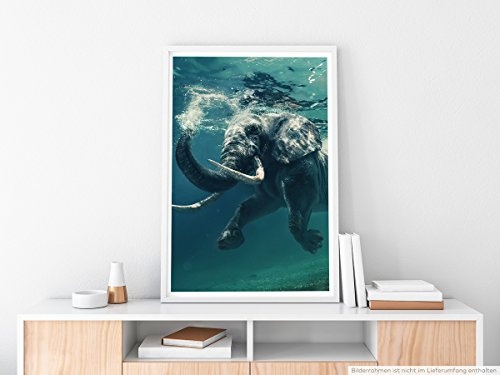 Best for home Artprints - Tierfotografie - Schwimmender Elefant unter Wasser- Fotodruck in gestochen scharfer Qualität