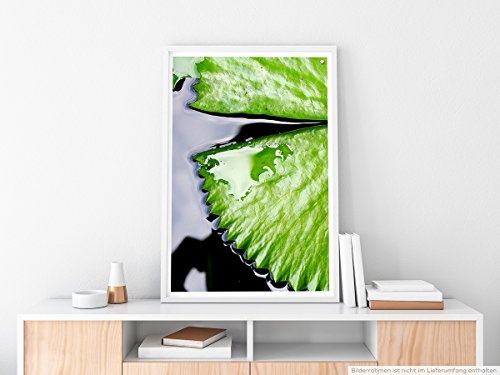 Best for home Artprints - Kunstbild - Lotusblatt im Wasser- Fotodruck in gestochen scharfer Qualität