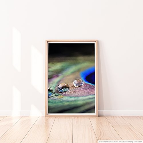 Best for home Artprints Leinwandbild - Künstlerische Fotografie - Wasser-Tropfen auf Pfauenfeder- Fotodruck in gestochen scharfer Qualität