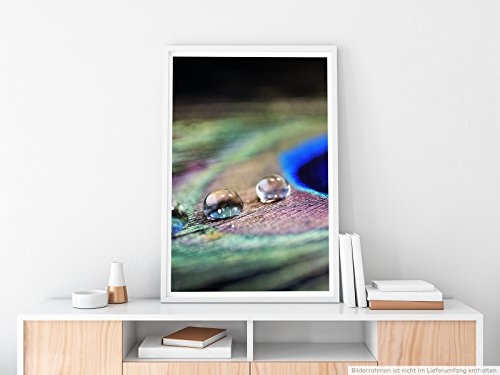 Best for home Artprints Leinwandbild - Künstlerische Fotografie - Wasser-Tropfen auf Pfauenfeder- Fotodruck in gestochen scharfer Qualität