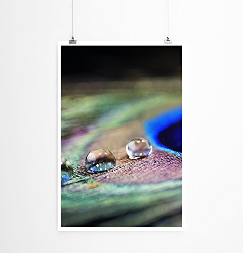 Best for home Artprints Leinwandbild - Künstlerische Fotografie - Wasser-Tropfen auf Pfauenfeder- Fotodruck in gestochen scharfer Qualität