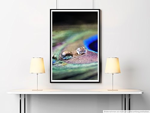 Best for home Artprints Leinwandbild - Künstlerische Fotografie - Wasser-Tropfen auf Pfauenfeder- Fotodruck in gestochen scharfer Qualität