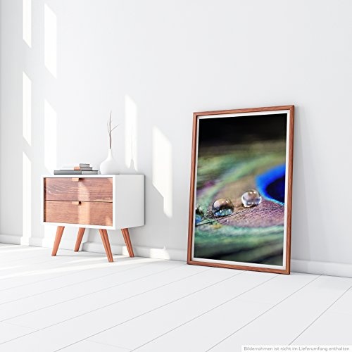 Best for home Artprints Leinwandbild - Künstlerische Fotografie - Wasser-Tropfen auf Pfauenfeder- Fotodruck in gestochen scharfer Qualität