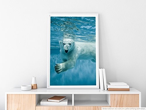 Best for home Artprints - Tierfotografie - Schwimmender Polarbär im Wasser- Fotodruck in gestochen scharfer Qualität