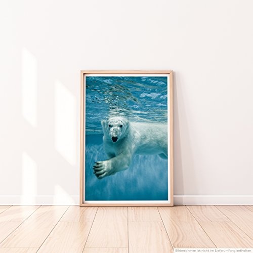 Best for home Artprints - Tierfotografie - Schwimmender Polarbär im Wasser- Fotodruck in gestochen scharfer Qualität