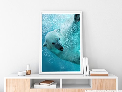 Best for home Artprints - Tierfotografie - Eisbär unter Wasser- Fotodruck in gestochen scharfer Qualität
