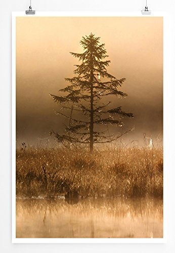 Best for home Artprints - Art - Einsamer Nadelbaum am Wasser- Fotodruck in gestochen scharfer Qualität