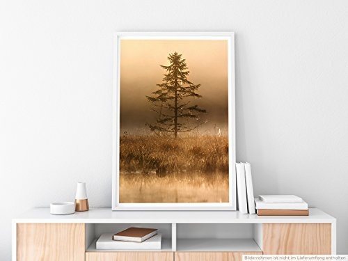 Best for home Artprints - Art - Einsamer Nadelbaum am Wasser- Fotodruck in gestochen scharfer Qualität