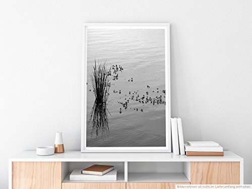Best for home Artprints - Kunstbild - Schilf im Wasser- Fotodruck in gestochen scharfer Qualität