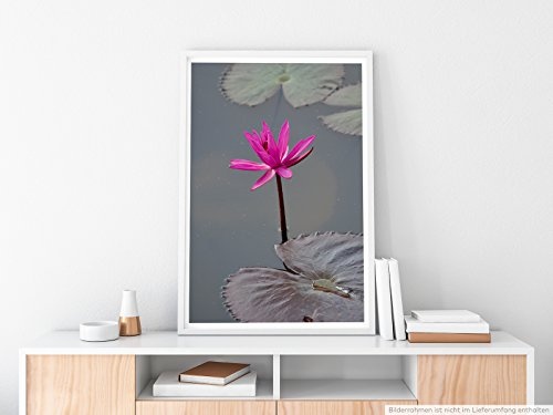 Best for home Artprints - Kunstbild - Pinker Lotus im Wasser- Fotodruck in gestochen scharfer Qualität