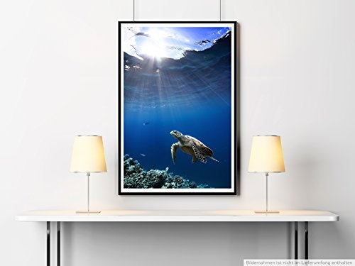 Best for home Artprints - Tierfotografie - Schildkröte unter Wasser Malediven- Fotodruck in gestochen scharfer Qualität