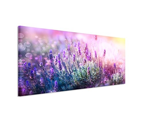Modernes Bild 150x50cm Naturfotografie - Blühender Lavendel in der Sonne