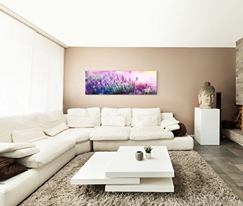 Modernes Bild 150x50cm Naturfotografie - Blühender Lavendel in der Sonne