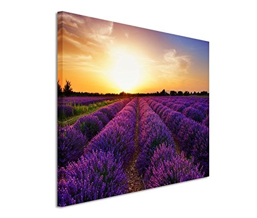 Modernes Bild 120x80cm Landschaftsfotografie - Traumhafte Lavendelfelder bei Sonnenuntergang