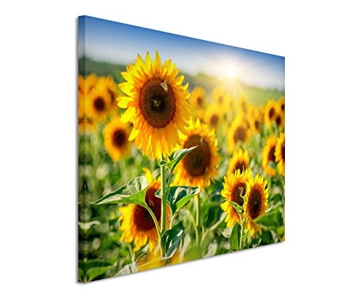 Modernes Bild 120x80cm Naturfotografie - Sonnenblumenfeld...