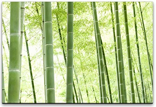 bestforhome 150x100cm Leinwandbild grüner Bambuswald Leinwand auf Holzrahmen