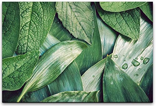 bestforhome 150x100cm Leinwandbild grüne Blätter Leinwand auf Holzrahmen